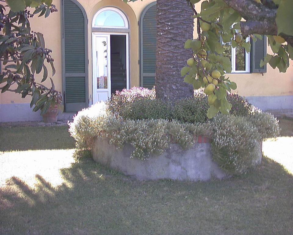 B&B Villa Panicucci Livorno Quarto foto